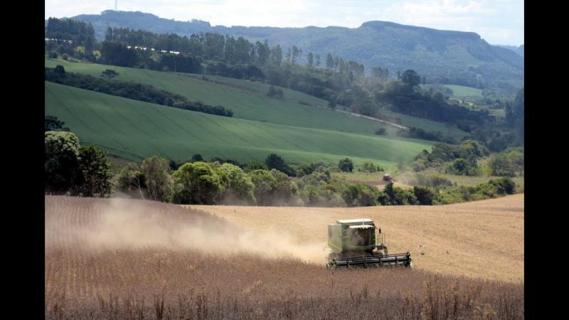 Webinar da Britcham ressalta força, números impressionantes do agronegócio brasileiro e salto dos maquinários na era digital