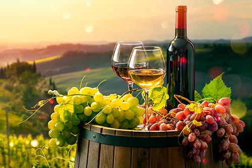 Estabelece os procedimentos e trâmites administrativos para emissão de Guia de Livre Trânsito - GLT para vinhos e derivados da uva e do vinho.