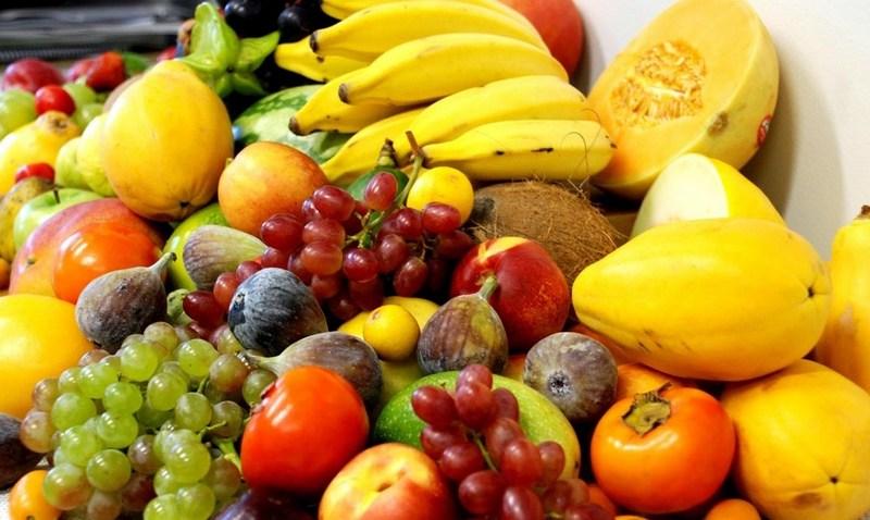 Frutas do Brasil Festival Lisboa promove aproximação entre produtores brasileiros e importadores portugueses