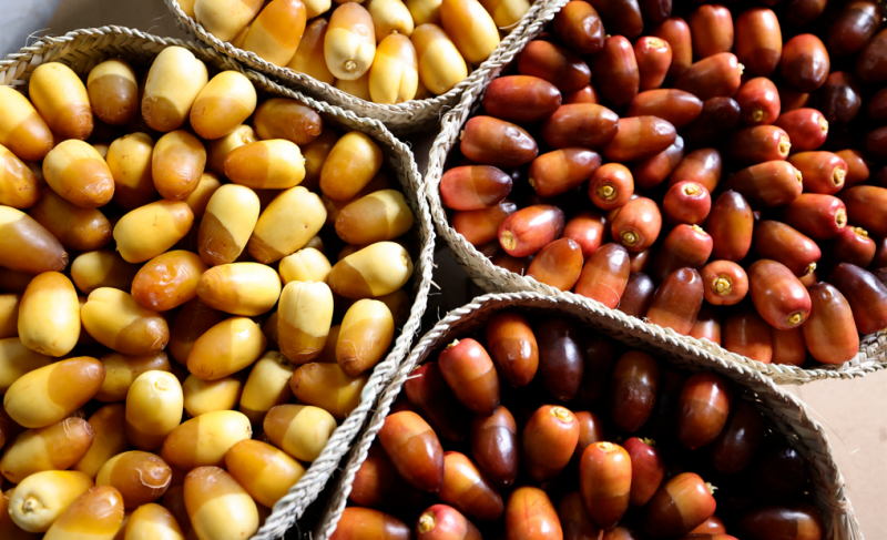 Árabes são fornecedores de alimentos do Brasil