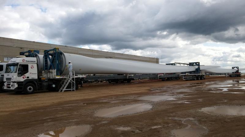 consultoria drawback 02