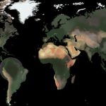 consultoria drawback 03